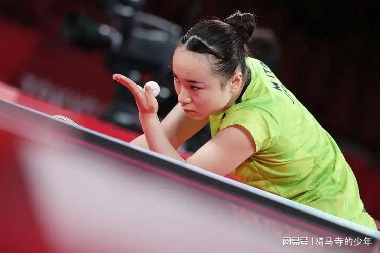 的观赏性 的观赏性