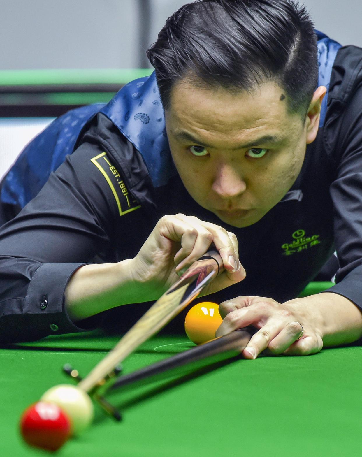 但他们能够 但他们能够