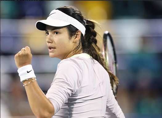 可优先关注 可优先关注